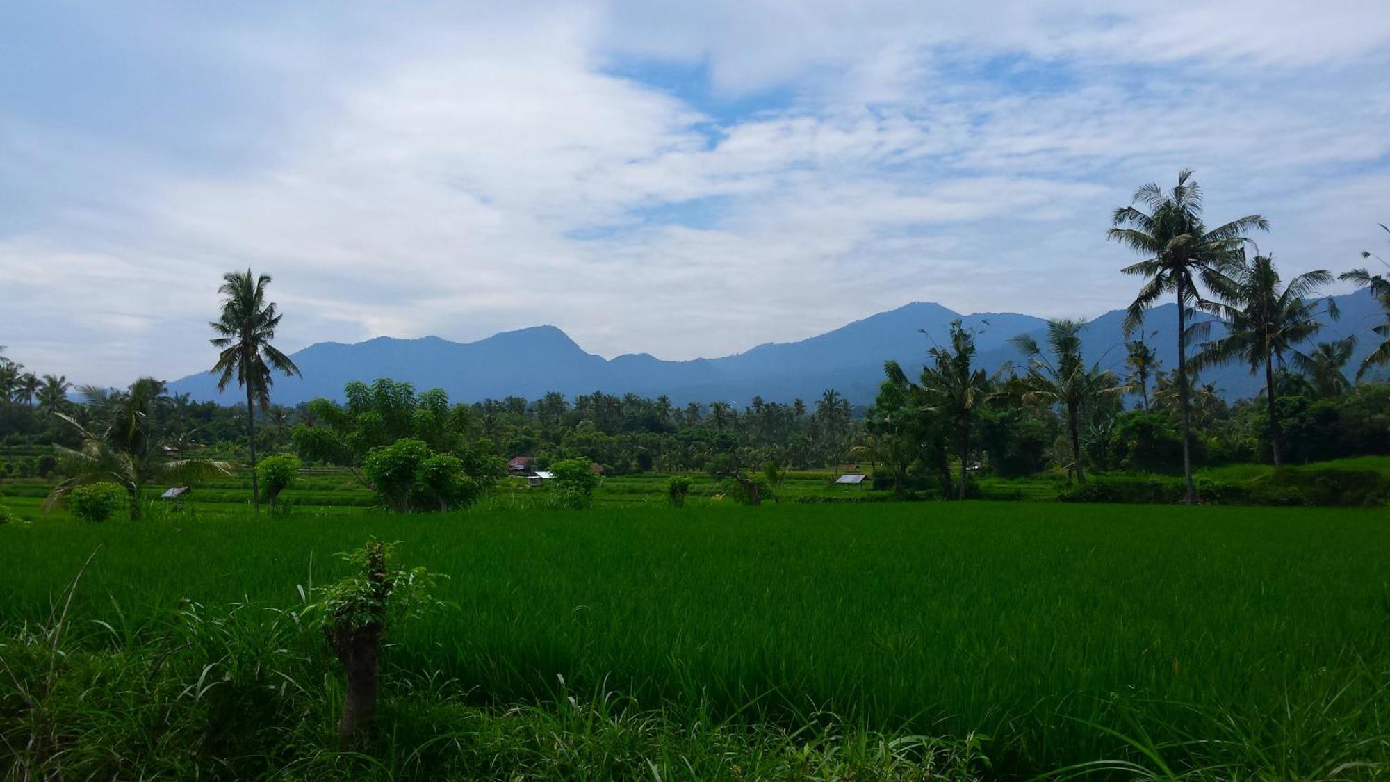 Pondok Manis Homestay Singaraja  Luaran gambar