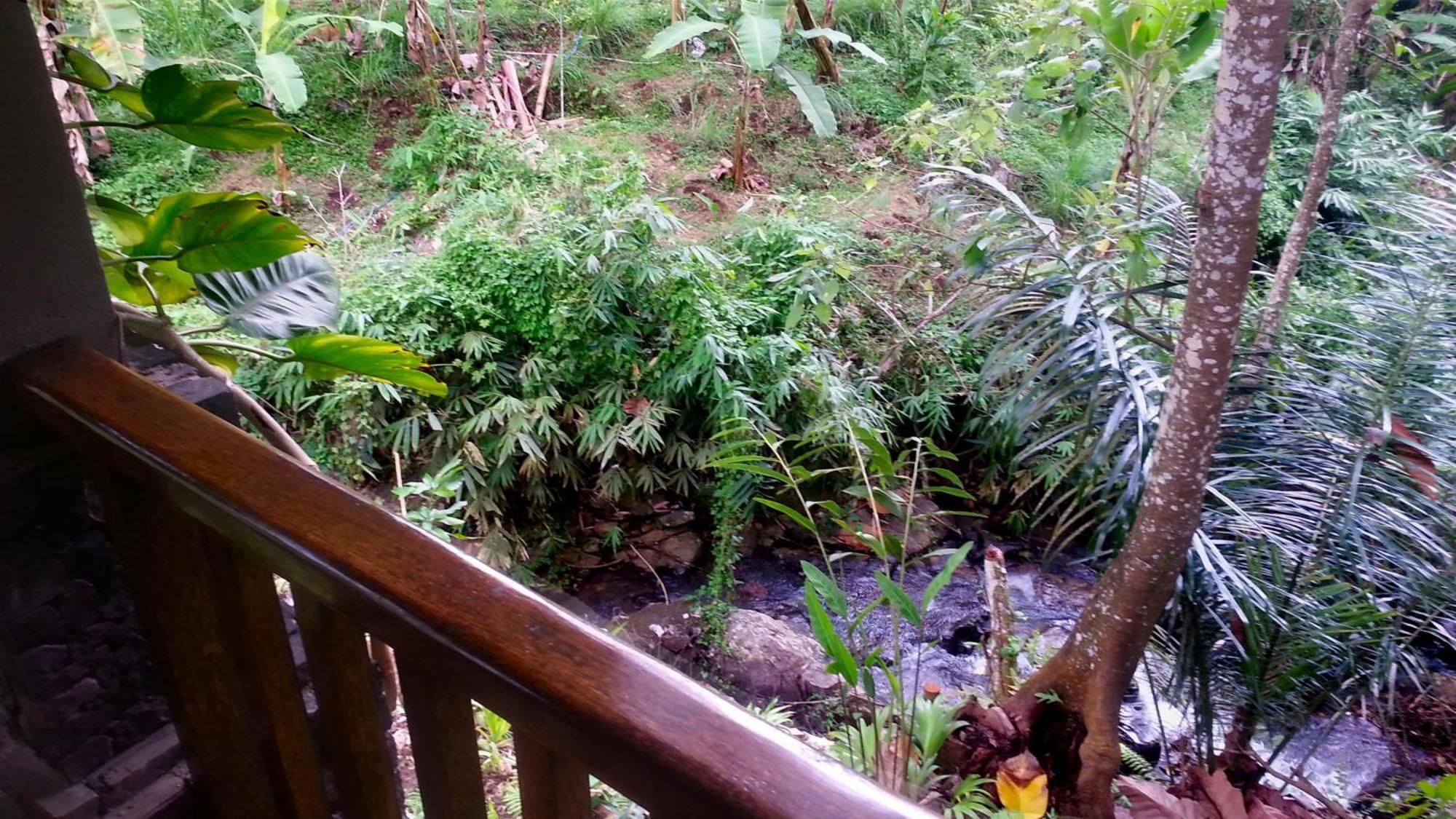 Pondok Manis Homestay Singaraja  Luaran gambar