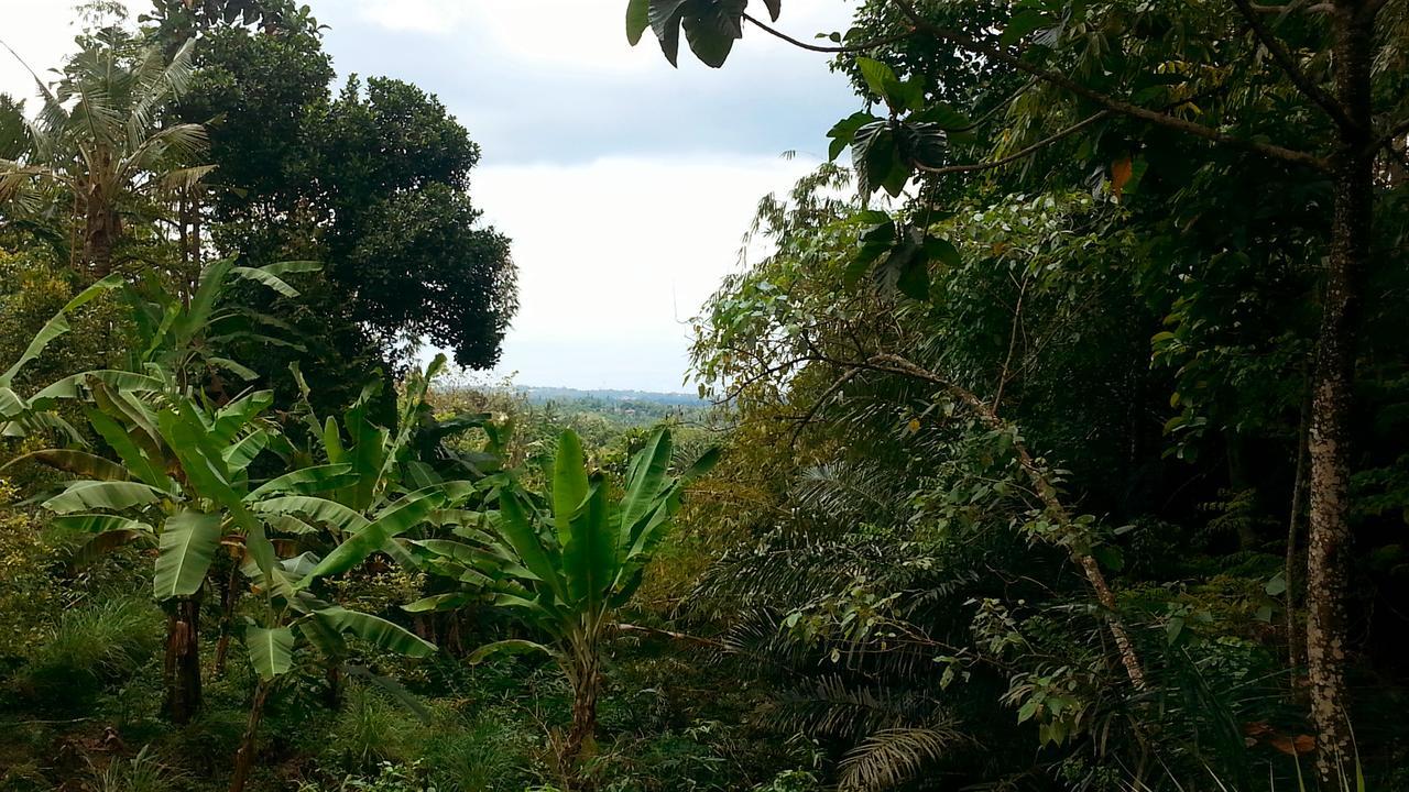 Pondok Manis Homestay Singaraja  Luaran gambar