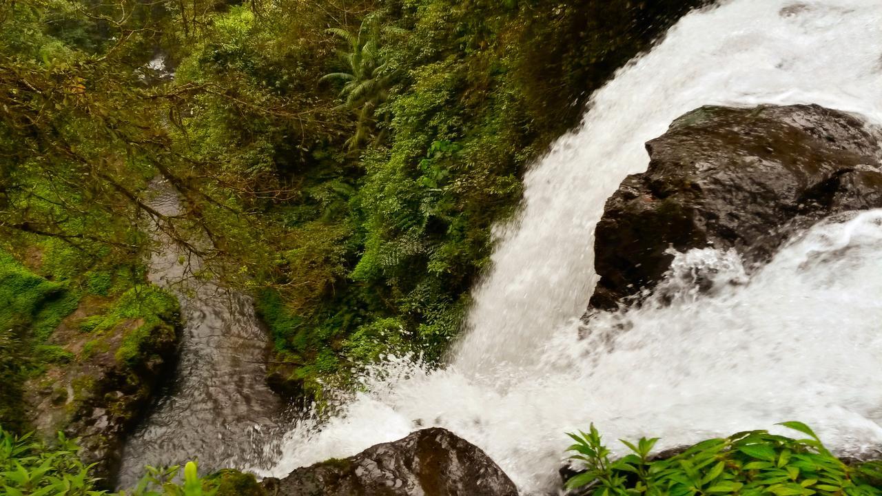 Pondok Manis Homestay Singaraja  Luaran gambar