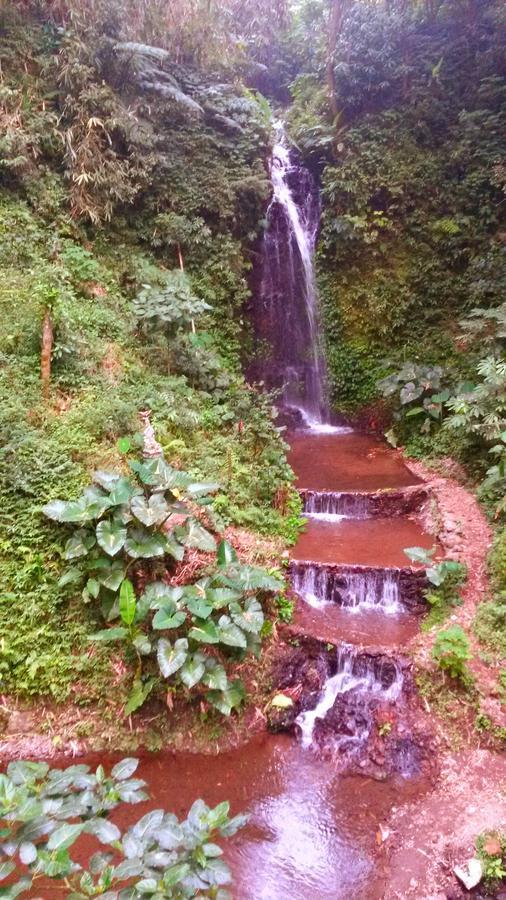 Pondok Manis Homestay Singaraja  Luaran gambar