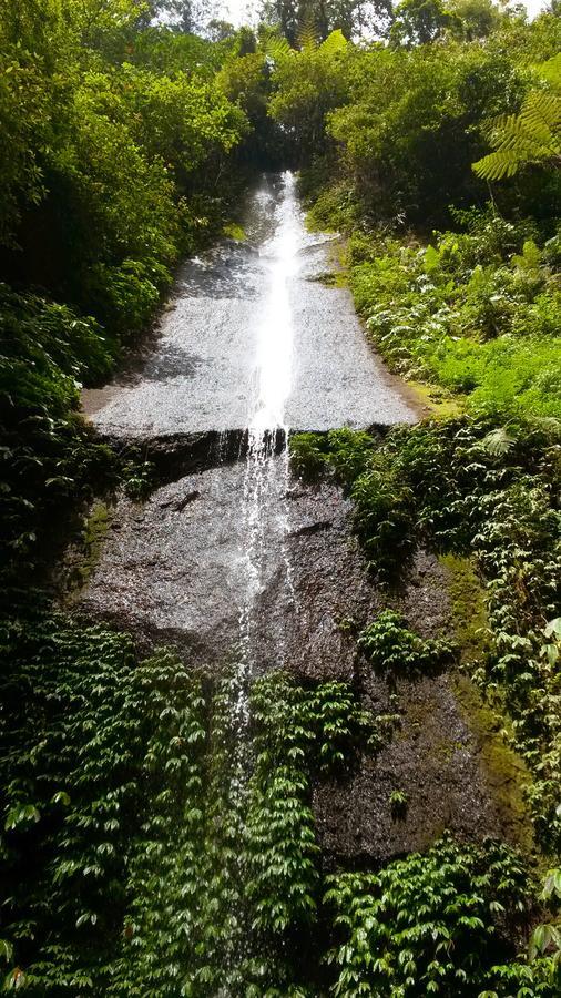 Pondok Manis Homestay Singaraja  Luaran gambar