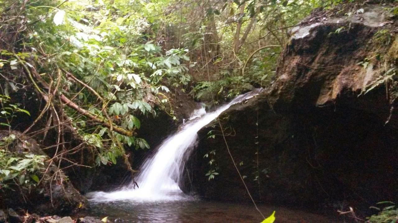 Pondok Manis Homestay Singaraja  Luaran gambar