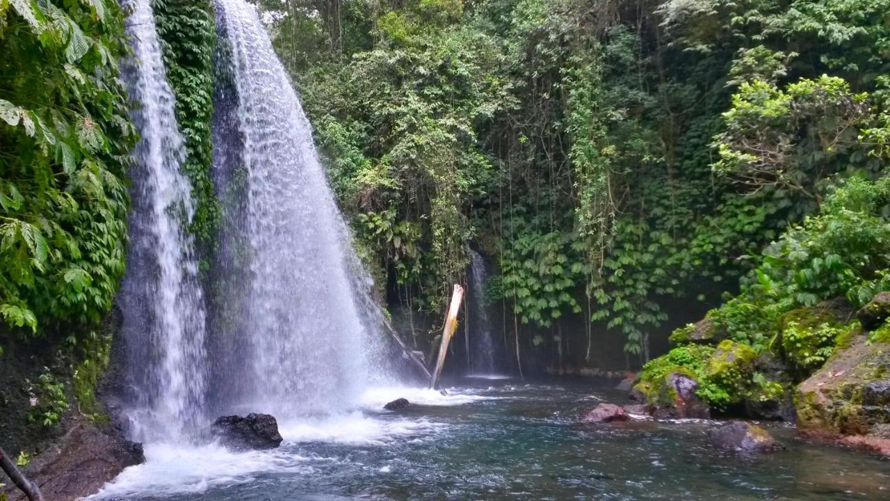 Pondok Manis Homestay Singaraja  Luaran gambar